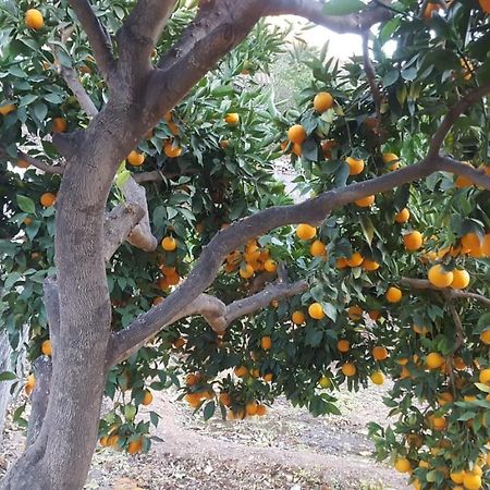 Casa Reyes Fataga Apta Reyes Εξωτερικό φωτογραφία